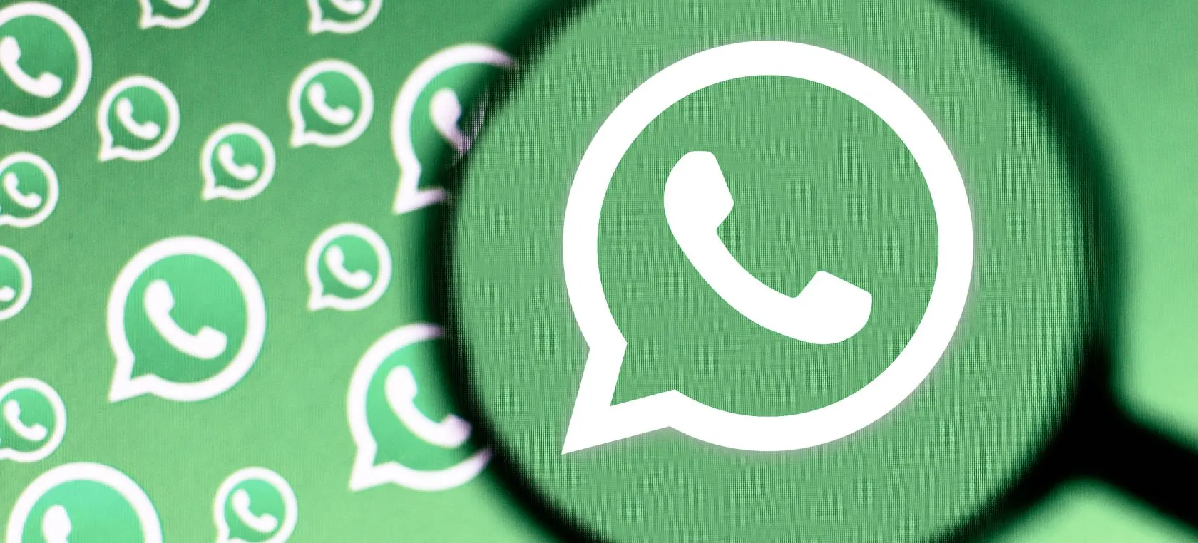 Бета-версия WhatsApp для Android 2.20.206.3: что нового?