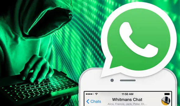 Бета-версия WhatsApp для Android 2.23.11.11: что нового?